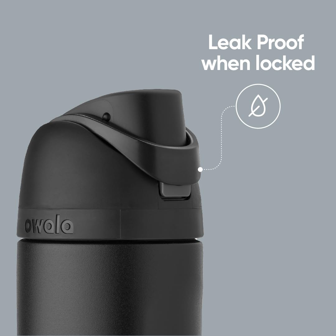 24 oz Insulated Stainless Steel Water Bottle with Straw, BPA-Free Sports Travel Bottle, Boneyard